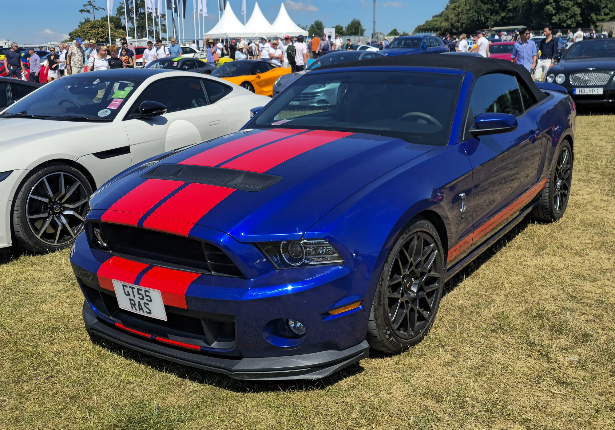 Ford Mustang Shelby 2