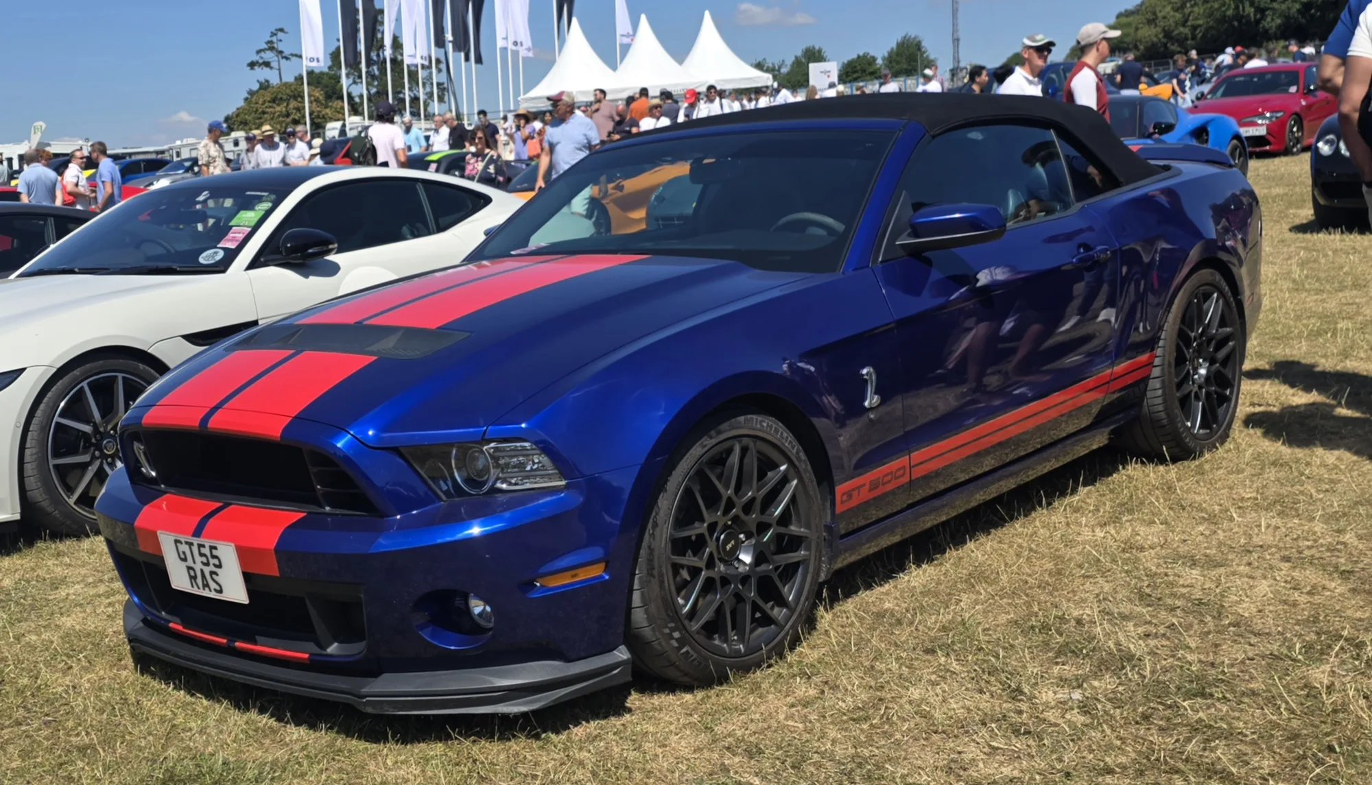 Ford Mustang Shelby 3