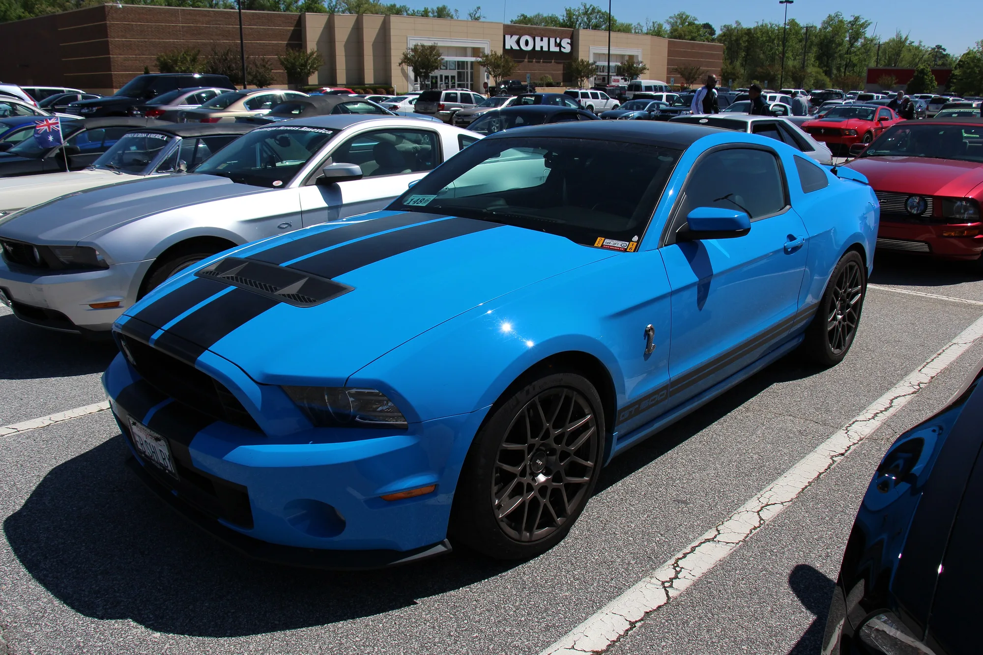 Ford Mustang Shelby 13